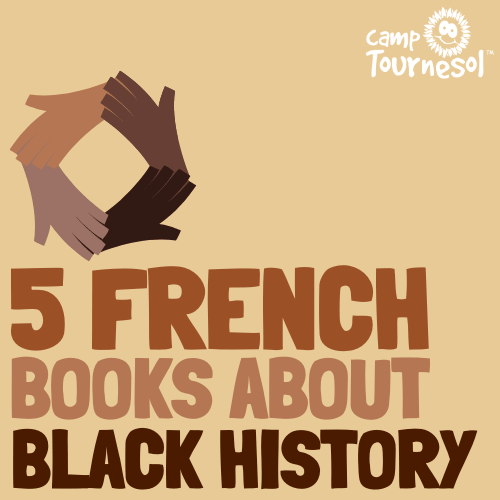 blog feature image french books about black history