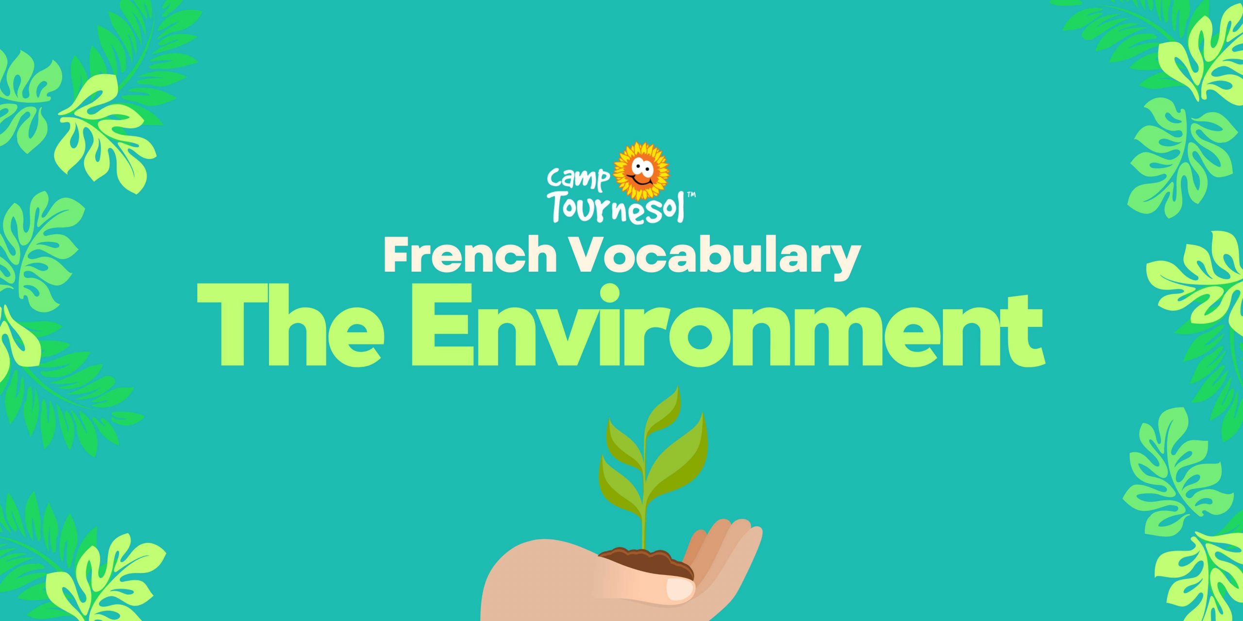 environment vocabulary blog feature image